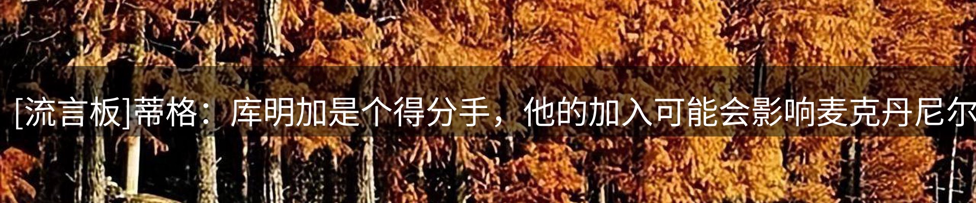 公司视点
